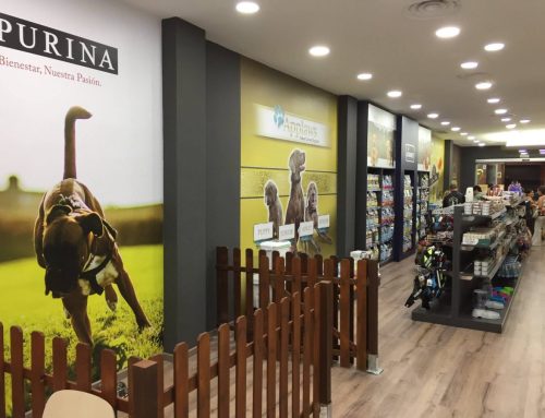 Vinilos para la decoración de tiendas y oficinas